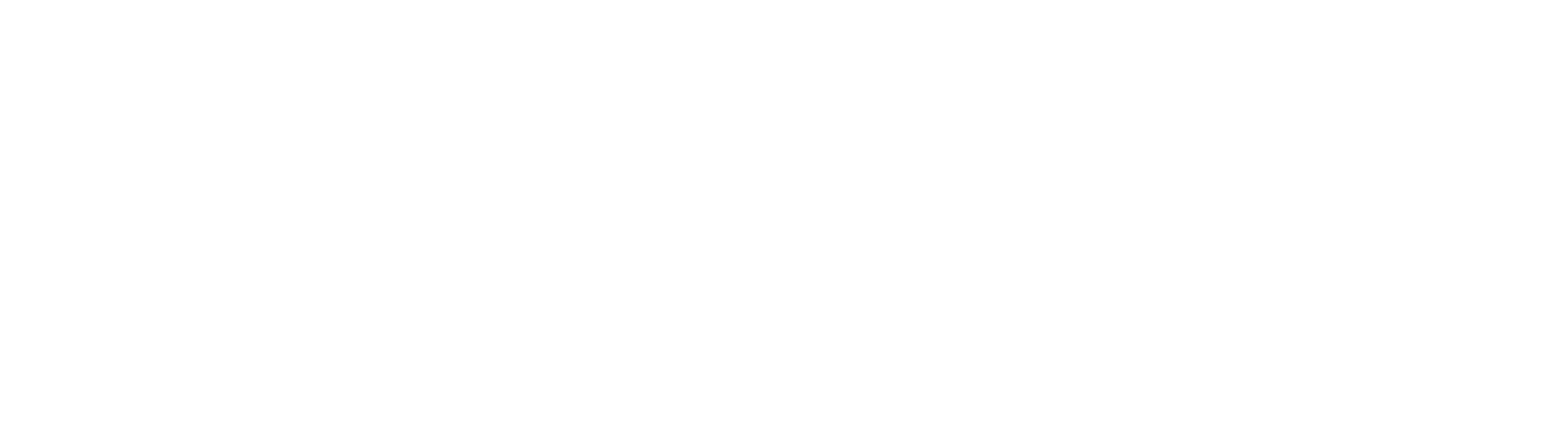 Ashish Silwal
